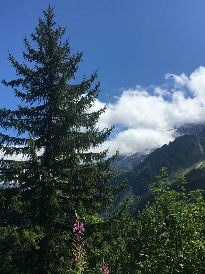 Ferienwohnung Les Pierres Blanches Mont Blanc Les Contamines-Montjoie Exterior foto