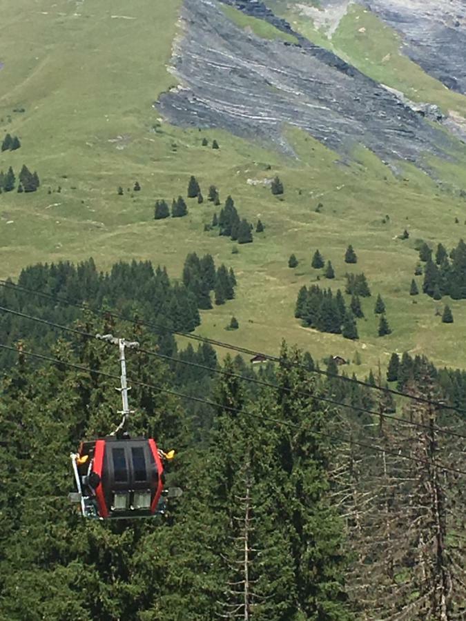 Ferienwohnung Les Pierres Blanches Mont Blanc Les Contamines-Montjoie Exterior foto